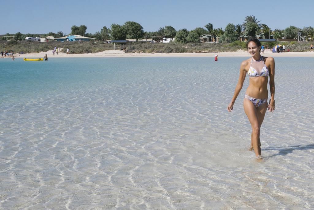 Ningaloo Reef Resort Coral Bay Eksteriør bilde