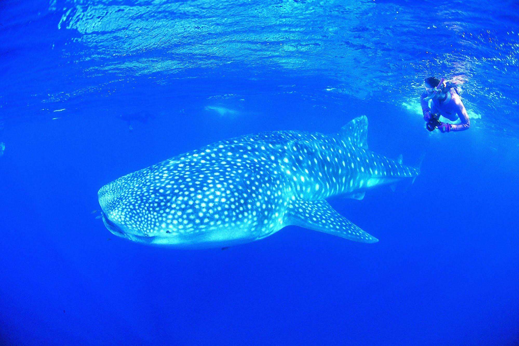 Ningaloo Reef Resort Coral Bay Eksteriør bilde